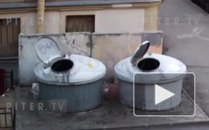 В Тучковом переулке из-за окурка сгорело два мусорных контейнера