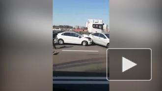 Два человека пострадали в массовом ДТП с маршруткой в Шушарах