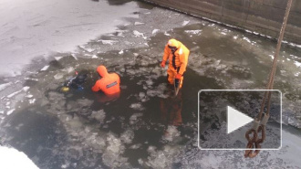 В ДТП под Петербургом шесть человек погибли страшной смертью