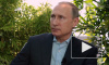Путин высказался о встрече Зеленского с националистами на Украине