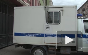 В Петербурге арестовали блогера, гонявшего пьяным по Невскому проспекту