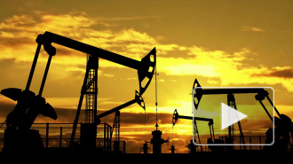 Пять российских нефтяных компаний поставят Белоруссии нефть без премии