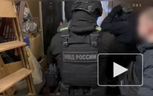 Опубликовано видео задержания петербуржца, который распространял детское порно