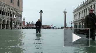 Россияне пожертвовали 1 млн евро на восстановление Венеции после наводнения