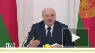 Лукашенко предложил ужесточить наказание за неуплату налогов по примеру США