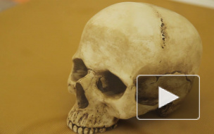 На "Ленфильме" показали человеческий череп, который был вырыт могильщиком