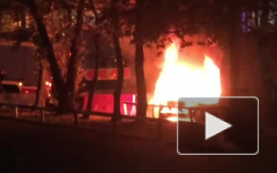 Во Всеволожском районе в пожаре погибла целая семья