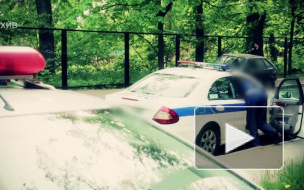 В Петербурге грабители прострелили лицо мужчине, который гнался за ними, чтобы вернуть свои 100 тысяч евро