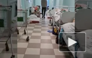 В петербургской больнице №15 пациенты лежат на полу из-за нехватки мест 