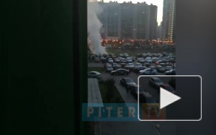 Видео: в Мурино загорелись автомобили