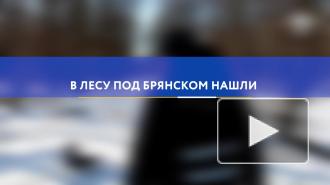 В лесу под Брянском нашли обгоревшее тело младенца