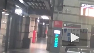 На Ладожском вокзале у несовершеннолетних спортсменов украли два смартфона