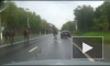 В Петербурге три лошади сбежали со съемок «Трех мушкетеров», видео попало в интернет