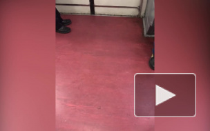 Петербуржцы засняли на видео "шизофреничку" в метро