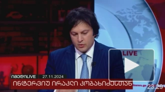 Кобахидзе заявил о бессмысленности помилования Саакашвили