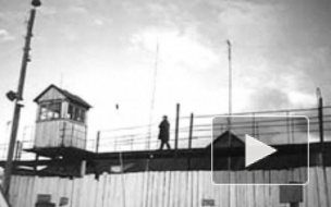 Человек, который пытался помешать задержанию криминального авторитета "Алика Рыжего", стрелял в полицейского