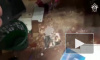 Видео: В Казани в офисе предпринимателя прогремел взрыв