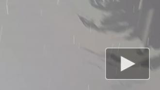 На Свердловской набережной петербуржцы заметили масляное пятно в Неве