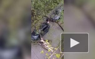 Службы спасения Москвы призвали граждан оставаться дома во время урагана 