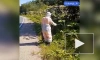 В Ленобласти с начала лета от борщевика очистили 158 га территорий