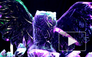 В Южно-Приморском парке Петербурга "поселились" ледяные монстры