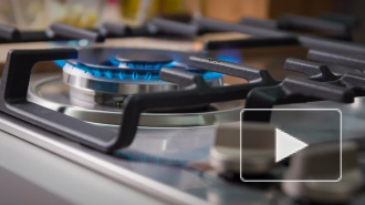 Посол Дании рассказал о позиции Копенгагена по "Северному потоку — 2"