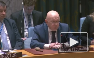 СБ ООН не принял резолюцию России по расследованию теракта на «Северных потоках»