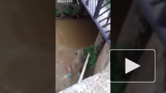 Смертельное видео из Бразилии: Парень прыгнул с моста и погиб