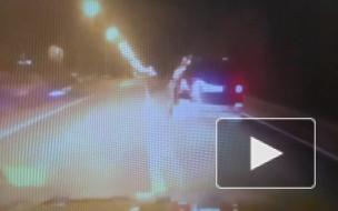 Видео: полицейские устроили погоню за пьяным водителем на "Мерседесе"