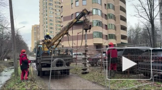 Реконструкция освещения стартовала в парке Александрино в Петербурге