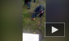 Стригущие траву маникюрными ножницами российские пожарные попали на видео