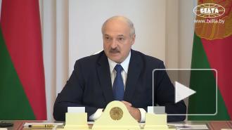 Путин уведомил Лукашенко о переговорах с Меркель и Макроном 