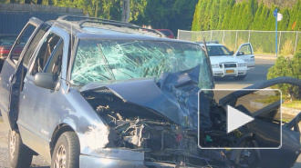 ГИБДД прогнозирует увеличение смертности на дорогах в России