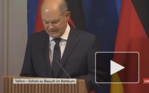 Шольц заявил, что Германия продолжит поддерживать Украину