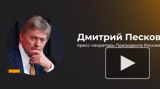 Песков не стал комментировать приговор Никите Журавелю