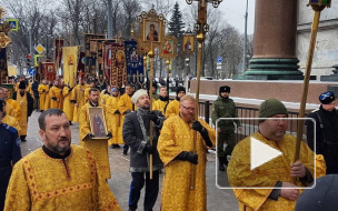 Милонова могут привлечь к ответственности за слова о предках Вишневского и Резника