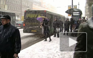 Замело, закружило. Петербург впервые за сезон оказался во власти серьёзного снегопада