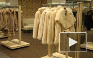 В Петербурге похитителей шуб из "Мехового рая" задержала полиция 