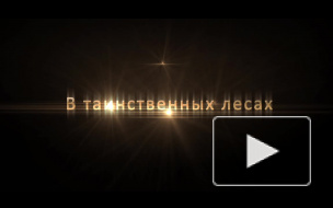 SPB.AUTO публикует отчет о поездке по маршруту СПб - Петрозаводск - СПб