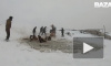 Видео: В Башкирии спасли ушедших под лёд лошадей
