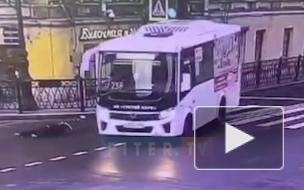 Момент наезда маршрутки на пешехода в Петербурге попал на видео