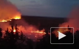 Площадь пожаров в Челябинской области выросла до 14 тыс. га