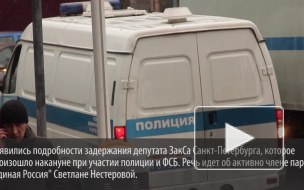 Стало известно, за что ФСБ задержало видного единоросса Светлану Нестерову