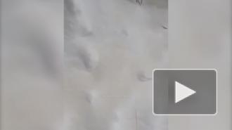 Жители российского города пожаловались на желтый снег