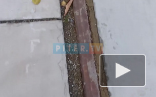 В Красногвардейском районе ржавеют забытые рельсы