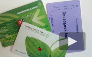 Чиновники не могут гарантировать сохранность денег на "Подорожниках"