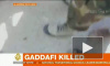 В завещании Каддафи написал, где его похоронить