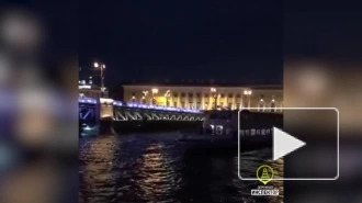 Капитан теплохода оштрафован за столкновение с Дворцовым мостом