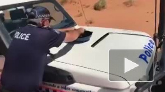 Вирусное видео: в Австралии полицейский зажарил яйцо на капоте машины
