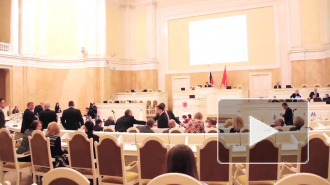 Видео: депутат исполнил гамму на кнопках голосования в ЗакСе